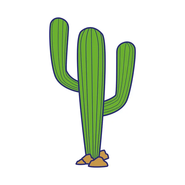 Diseño vectorial de planta de cactus aislado — Vector de stock