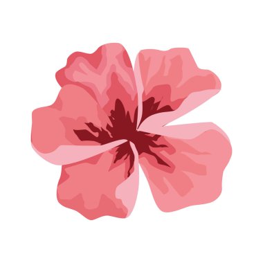 pembe tropikal çiçek simgesi