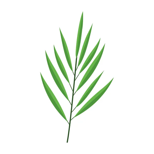 Imagen de icono de hoja tropical — Vector de stock