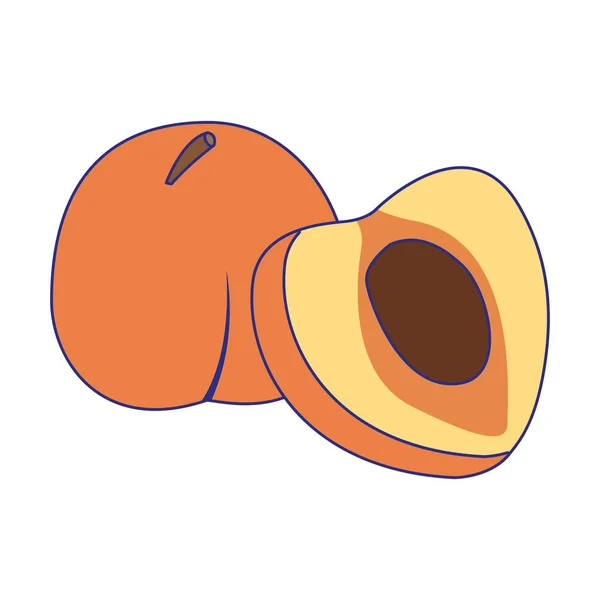 Icono de la fruta del melocotón, diseño colorido — Vector de stock