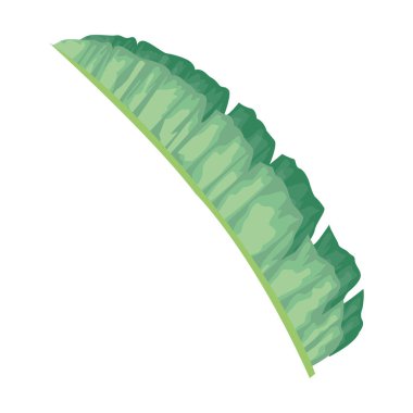 yeşil tropikal yaprak simgesi, renkli tasarım