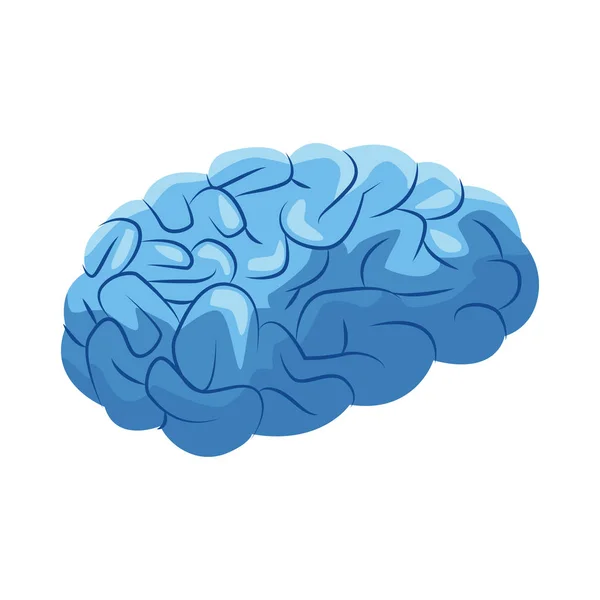 Human brain icon, flat design — Stock Vector