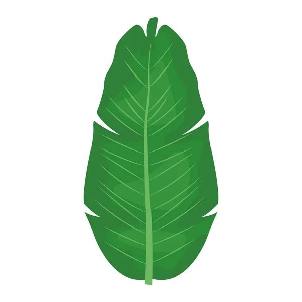 Icono de hoja tropical, diseño colorido — Vector de stock