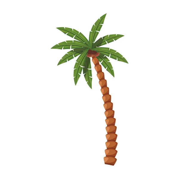Palm with coconuts icon, flat design — Stock vektor