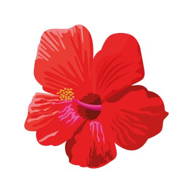 tropikal çiçek simgesi, renkli tasarım