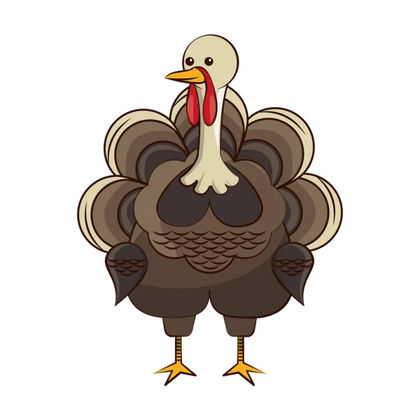 Turkey bird animal thanksgiving character — ストックベクタ