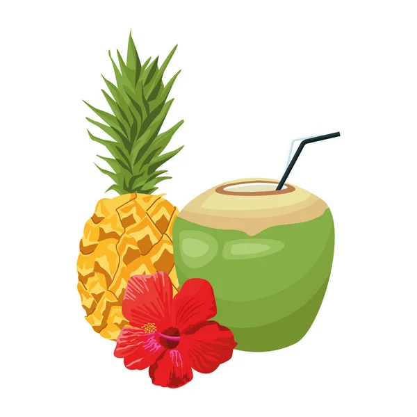 Boisson à l'ananas et à la noix de coco aux fleurs tropicales — Image vectorielle