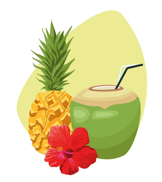 Boisson d'ananas et de noix de coco et fleur tropicale — Image vectorielle