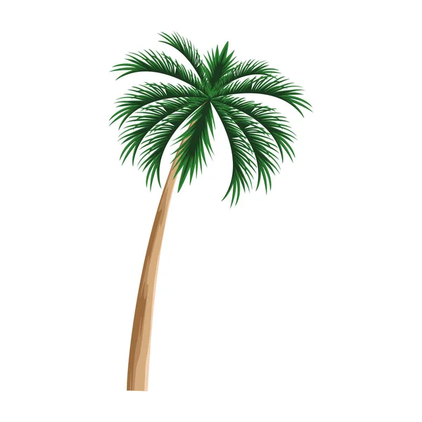 Palm icon image, flat design — Stock Vector