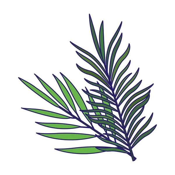 热带树叶图标图像 — 图库矢量图片