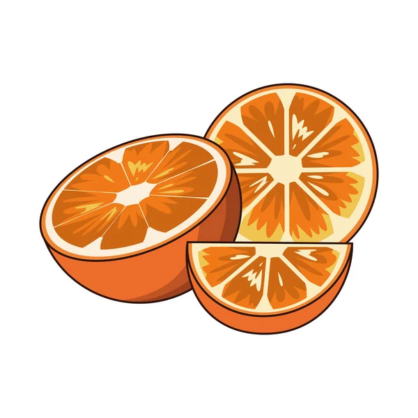 Mitades naranjas, diseño colorido — Vector de stock