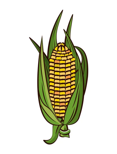 Maiskolben Gemüse Erntedank-Ikone — Stockvektor