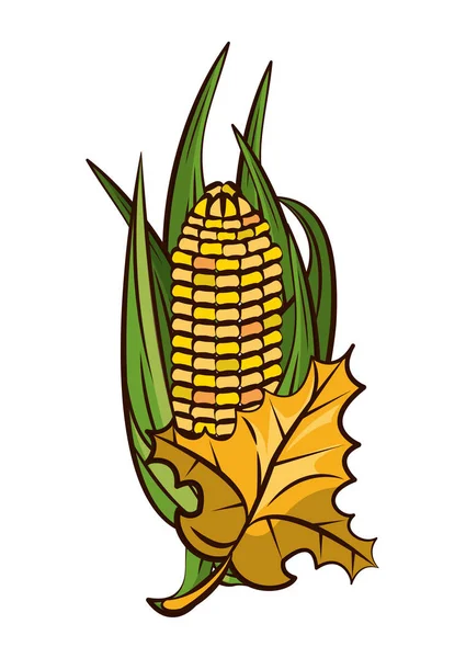 Maiskolben Gemüse und Blätter Erntedank-Ikone — Stockvektor