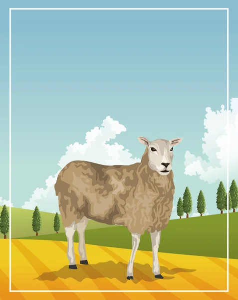 Kamp sahnesinde koyun çiftliği — Stok Vektör