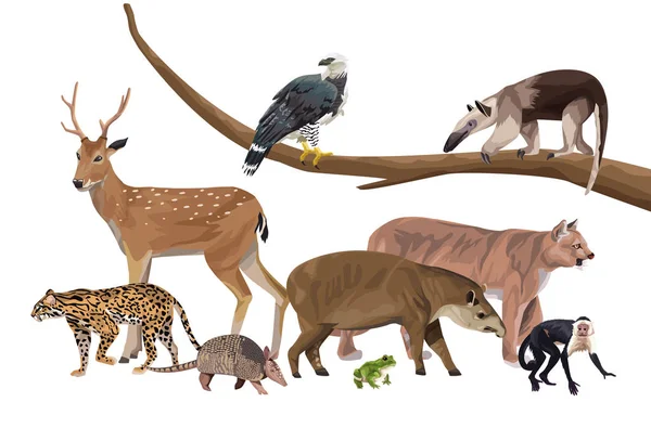 Grupo de animales salvajes personajes — Archivo Imágenes Vectoriales