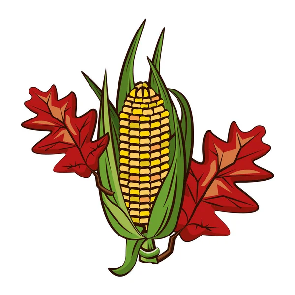 Corn cob vegetable and leafs thanksgiving icon — Stock Vector