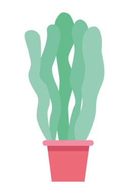 Dekoratif saksı karikatürü izole edildi