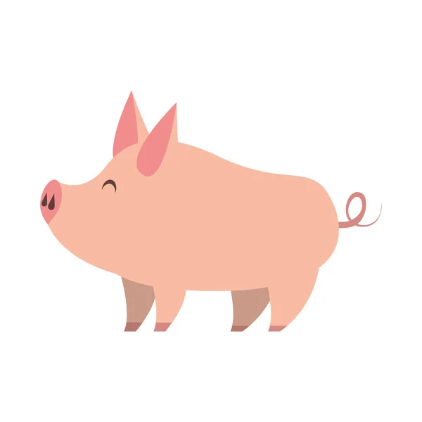 귀여운 동물 돼지 농장 만화 — 스톡 벡터