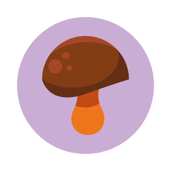 Hongo otoño naturaleza aislado icono — Vector de stock