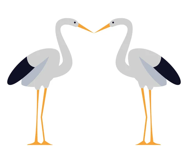 Due cicogne uccelli baciare cartone animato — Vettoriale Stock