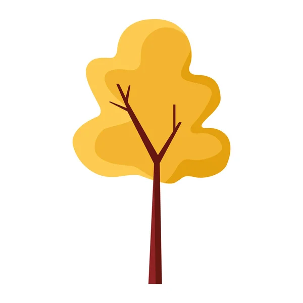 Herbst Baum Pflanze saisonal isoliert Symbol — Stockvektor