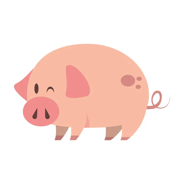 Niedliche Animal Pig Farm Cartoon — Stockvektor