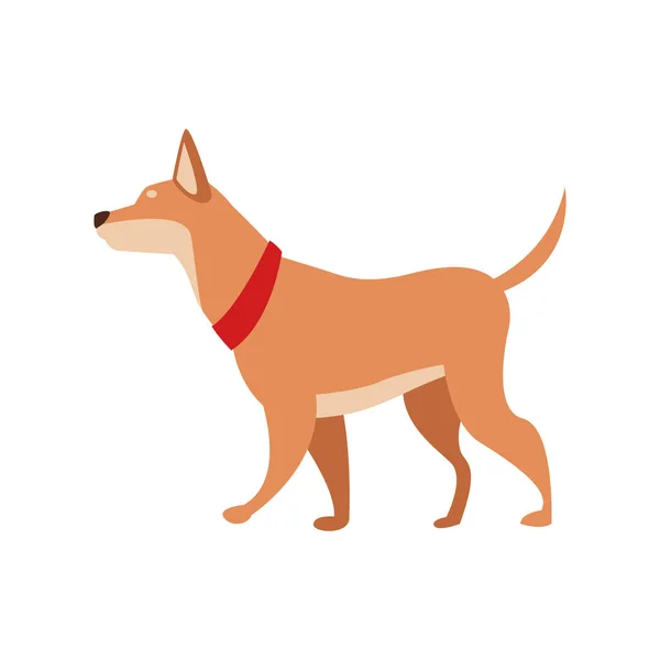 Cute dog icon image, flat design — Stock Vector