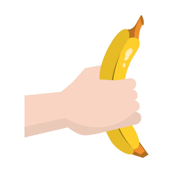 Ontwerp van bananenfruit — Stockvector