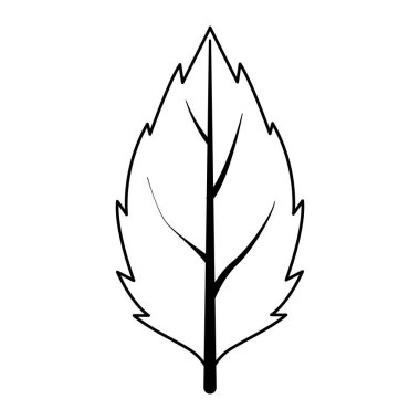 sonbahar yaprak bitki mevsimsel simgesi
