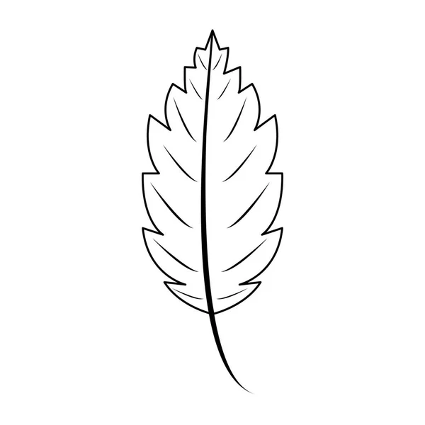 Otoño temporada de hojas naturaleza símbolo de dibujos animados en blanco y negro — Vector de stock