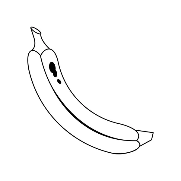 Banano fruta diseño — Archivo Imágenes Vectoriales