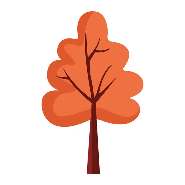 Automne arbre plante saison isolé icône — Image vectorielle