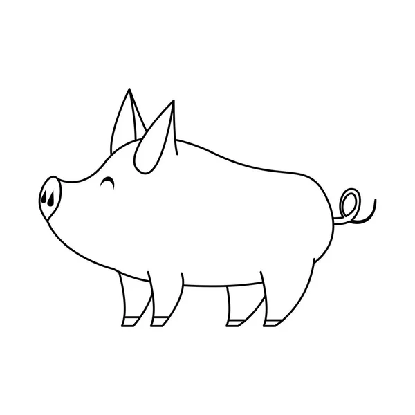 Animal bonito porco fazenda desenhos animados em preto e branco —  Vetores de Stock