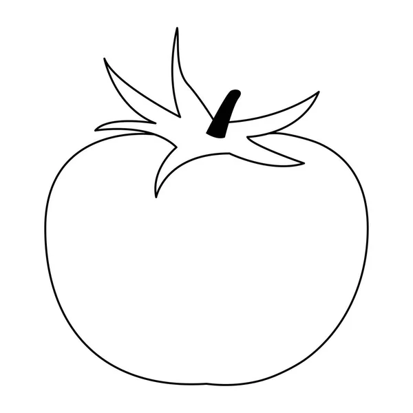 Tomate vegetal icono imagen diseño — Vector de stock