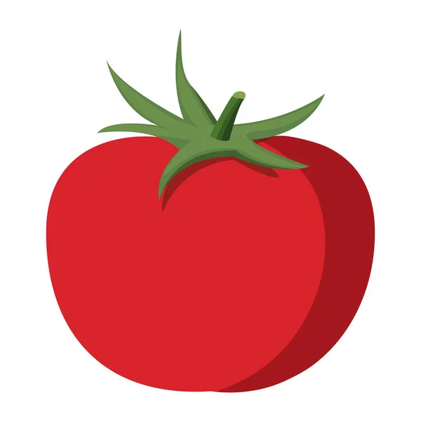 Desenho de imagem ícone vegetal de tomate — Vetor de Stock