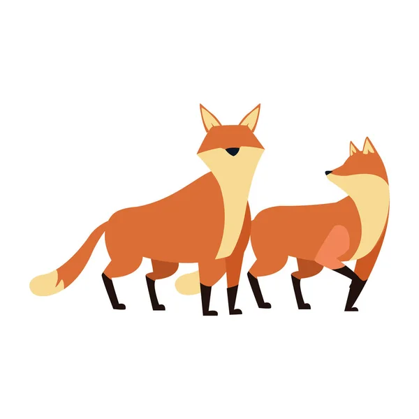 Cartoon foxes icon, flat design — Stock Vector