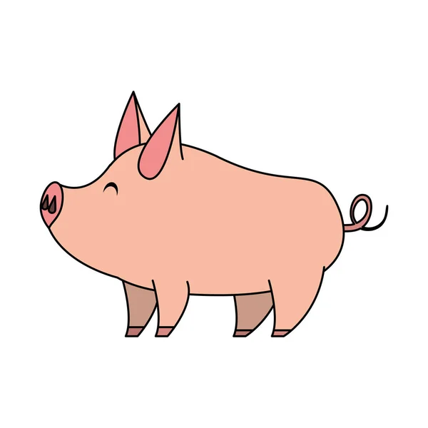 Niedliche Animal Pig Farm Cartoon — Stockvektor