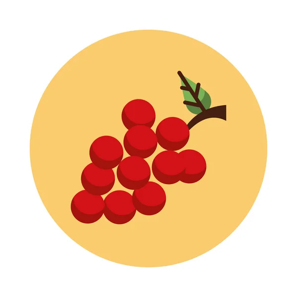 Süße Trauben Früchte und Blätter Naturikone — Stockvektor