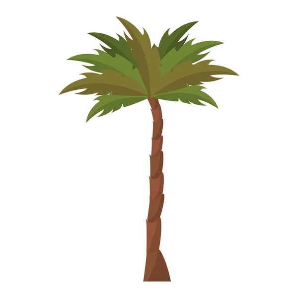 Natura palma ambiente cartone animato — Vettoriale Stock