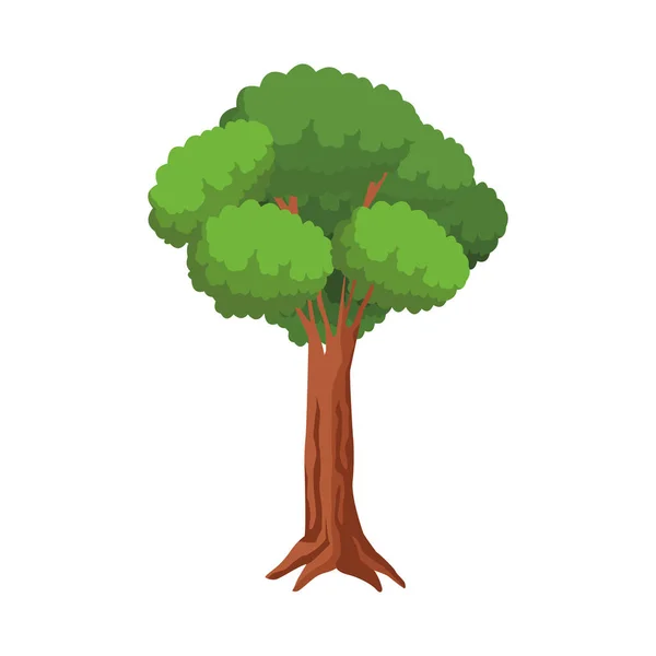 Ağaç simgesi resmi, renkli tasarım — Stok Vektör