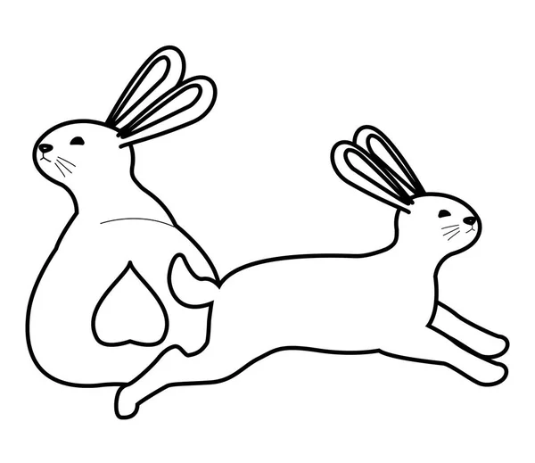 Lindo dos conejos animales dibujos animados en blanco y negro — Vector de stock