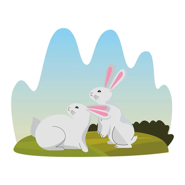 Niedlichen zwei Kaninchen Tiere Cartoons — Stockvektor