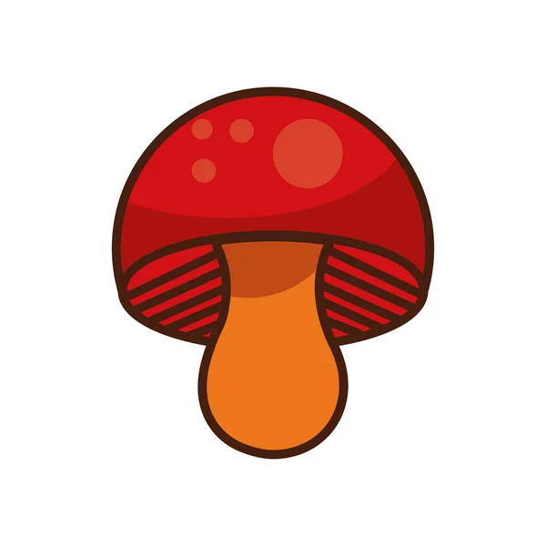 Hongo otoño naturaleza aislado icono — Vector de stock