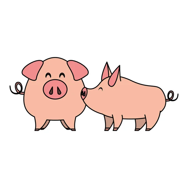 Cute animals pigs farm cartoon — Stock Vector