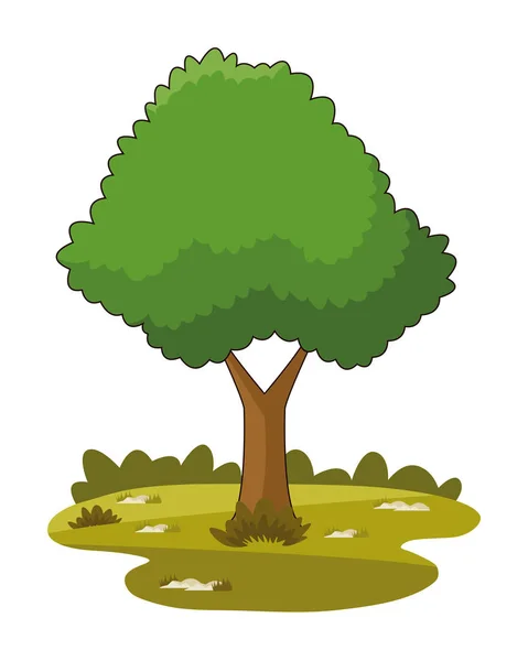Kreslička z přírodních stromů — Stockový vektor