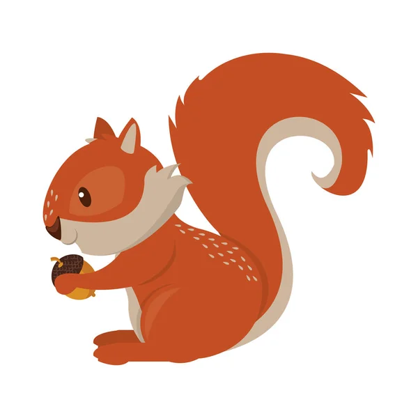 Squirrel eating nut cartoon animal — Stock Vector
