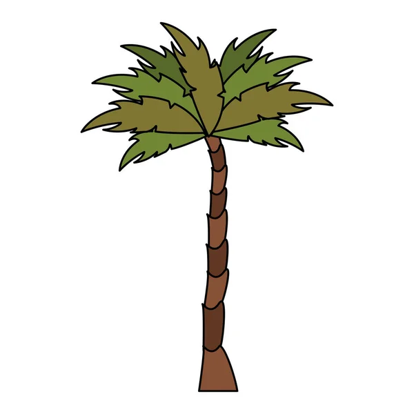 Natuur palm boom milieu cartoon — Stockvector