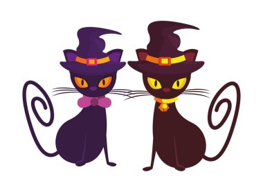 Cadı şapkalı cadılar bayramı kedileri