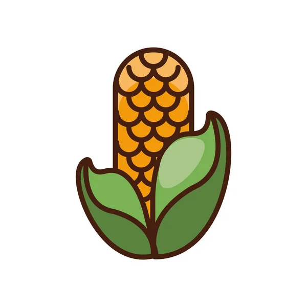 Espiga de milho ícone de ação de graças vegetal — Vetor de Stock