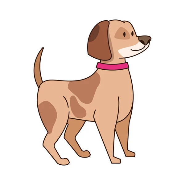 Bonito cão com colar ícone — Vetor de Stock